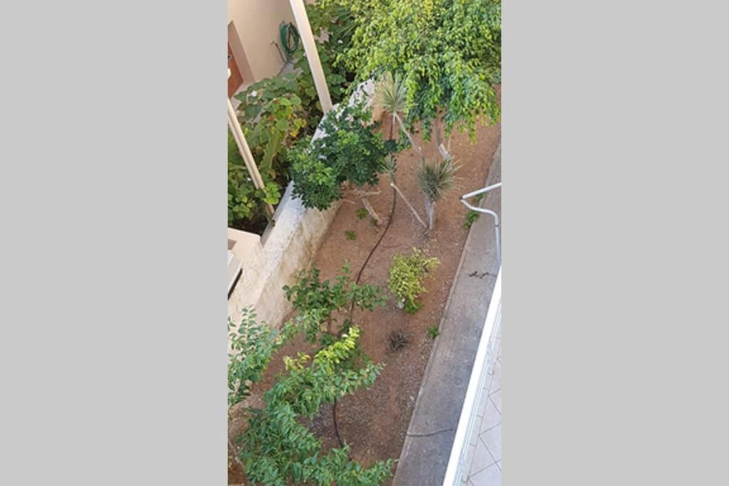 Ellis Apartments , Amperia , Crete La Canea Exterior foto